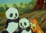 Tao Tao