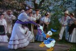 Trois Caballeros <span>(Les)</span>