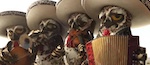 Rango - image 8